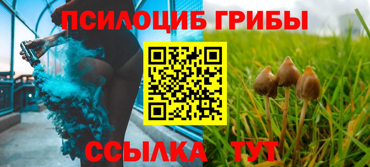 Псилоцибиновые грибы ЛСД Усолье-Сибирское