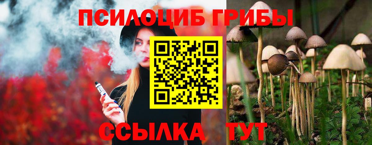 Псилоцибиновые грибы прущие грибы  Вход с VPN  Усолье-Сибирское 